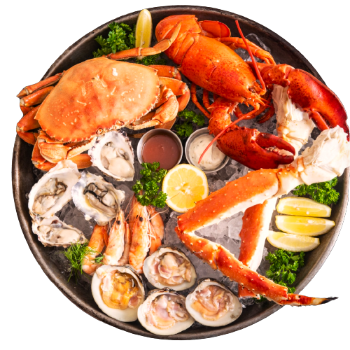 Shark Cafe Seafood Restaurant